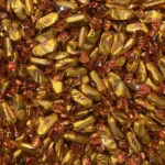 خرید و قیمت شکلات فله ای ترافل پرتقالی ABK