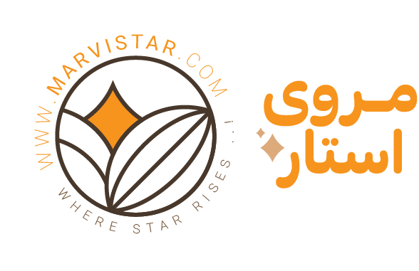 marvi header logo