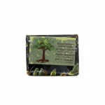 تمر هندی آلوچه‌ای بدون هسته ۲۵۰ گرمی